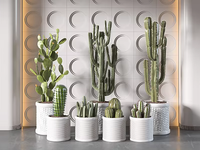 Potted Cacti And Succulent Plants In White Decorative Pots With Modern Wall Background 3d model
