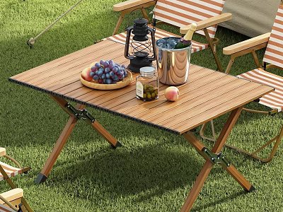 Outdoor Chairs With Folding Table Lantern Metal Bucket And Fruits On Grass 3d model