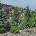 Trees In Front Of Rocky Background With Paved Ground And Small Shrubs
