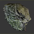Vibrant Green And Purple Marine Coral Animal Reef Structure On Dark Background