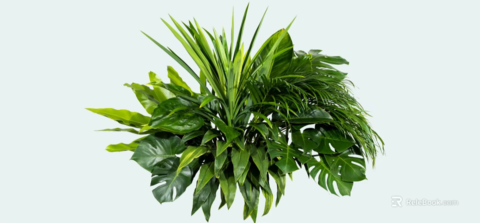 Lush Green Shrub Featuring Various Leaf Shapes And Dense Tropical Foliage 3d model 