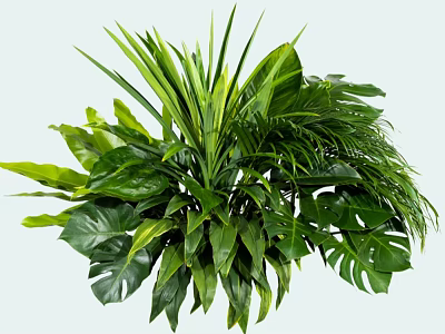 Lush Green Shrub Featuring Various Leaf Shapes And Dense Tropical Foliage 3d model