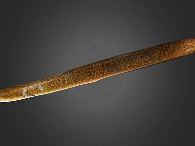 Long Slender Brown Golden Eel With Scaly Texture On Dark Background 3d model