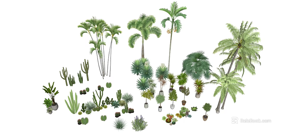 Various Arbor Species Including Palm Trees and Potted Garden Plants 3d model 