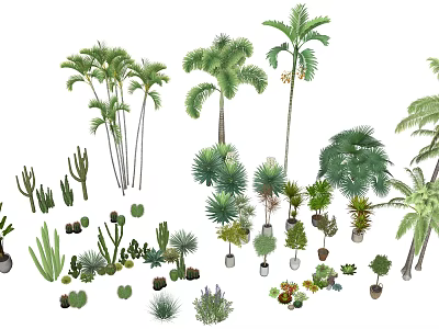 Various Arbor Species Including Palm Trees and Potted Garden Plants 3d model