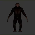 High Quality 3D Chimpanzee Model Showcasing Muscular Details And Natural Standing Position