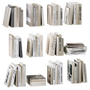 Modern Books 3d model