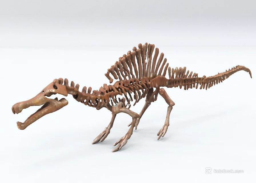 Realistic Full Body Dinosaur Skeleton With Spine Structure For Museum Exhibit 3d model 