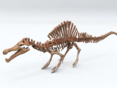 Realistic Full Body Dinosaur Skeleton With Spine Structure For Museum Exhibit 3d model