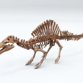 Realistic Full Body Dinosaur Skeleton With Spine Structure For Museum Exhibit 3d model