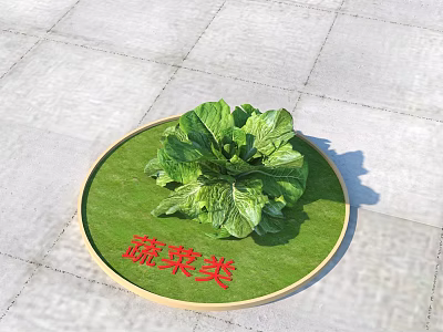 Fresh Vegetables Display With Green Lettuce On Round Mat And Stone Floor 3d model