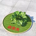 Fresh Vegetables Display With Green Lettuce On Round Mat And Stone Floor