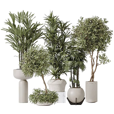 Various Green Plants In Modern Ceramic Vases And Decorative Plant 3d model