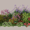 Colorful Garden Plant Combination With Purple Pink Red Flowers And Green Foliage