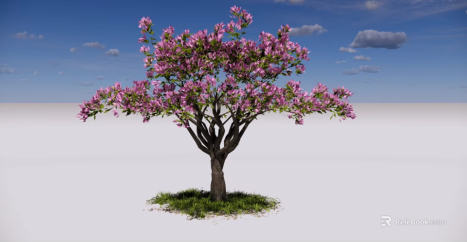 Beautiful Flowering Arbor With Pink Blossoms Green Grass Under Blue Sky 3d model 
