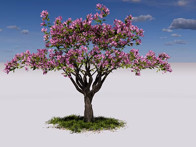 Beautiful Flowering Arbor With Pink Blossoms Green Grass Under Blue Sky 3d model