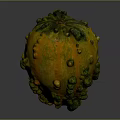 Fresh Yellow Green Bumpy Pumpkin For Healthy Cooking And Nutritious Recipes