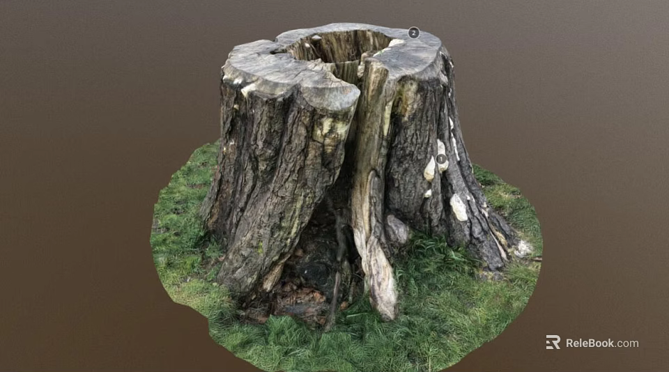 Natural Wooden Tree Stump With Rough Texture And Green Grass Surroundings 3d model 