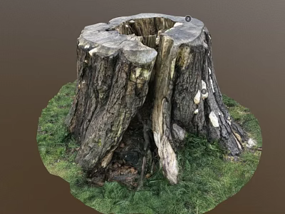 Natural Wooden Tree Stump With Rough Texture And Green Grass Surroundings 3d model