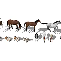 Reptile Figurine Collection Showcasing Various Species And Detailed Models