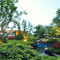 Rockery Stones In Scenic Garden With Small Stream Lush Green Plants And Evening Lights