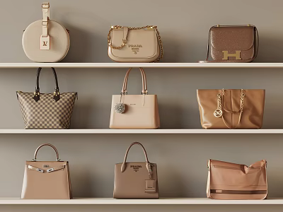 Trendy Various Handbags On Shelves With Different Styles And Neutral Beige Brown Tones 3d model