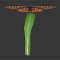 Orange and Black Patterned Butterfly Perched on Green Leaf Against Black Background 3d model