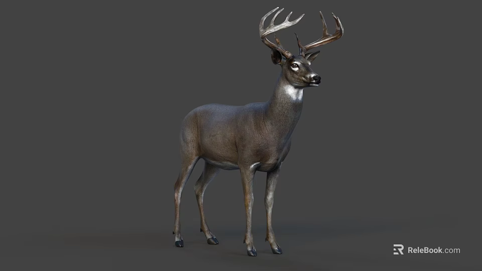 Detailed Realistic Deer With Large Antlers Standing On Gray Background 3d model 