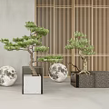 Bonsai Trees In Square Planters With Moon Decorations Gray Wall And Wooden Slats