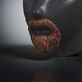 Realistic Brown Textured Beard On Black Mannequin Head Facial Features