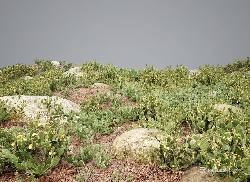 Flowers and Plants Thriving Among Stones with Green Vegetation and Yellow Blooms 3d model 