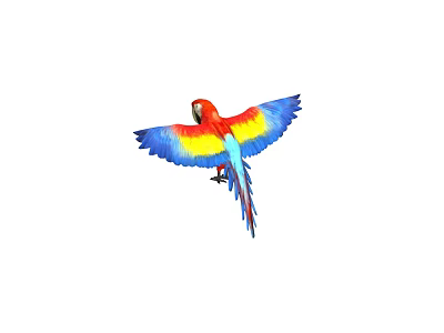 Vibrant Red Blue Yellow Macaw Parrot Flying Gracefully with Spread Wings 3d model