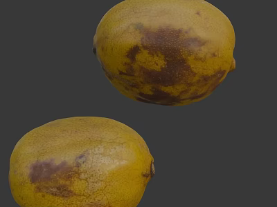 Closeup View of Ripe Yellow Fruits Showing Brown Spots and Cracked Skin 3d model
