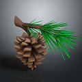 pine cone plant 3d model