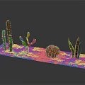 Various Cactus And Succulent Plants Display On Sandy Surface With Decorative Arrangement