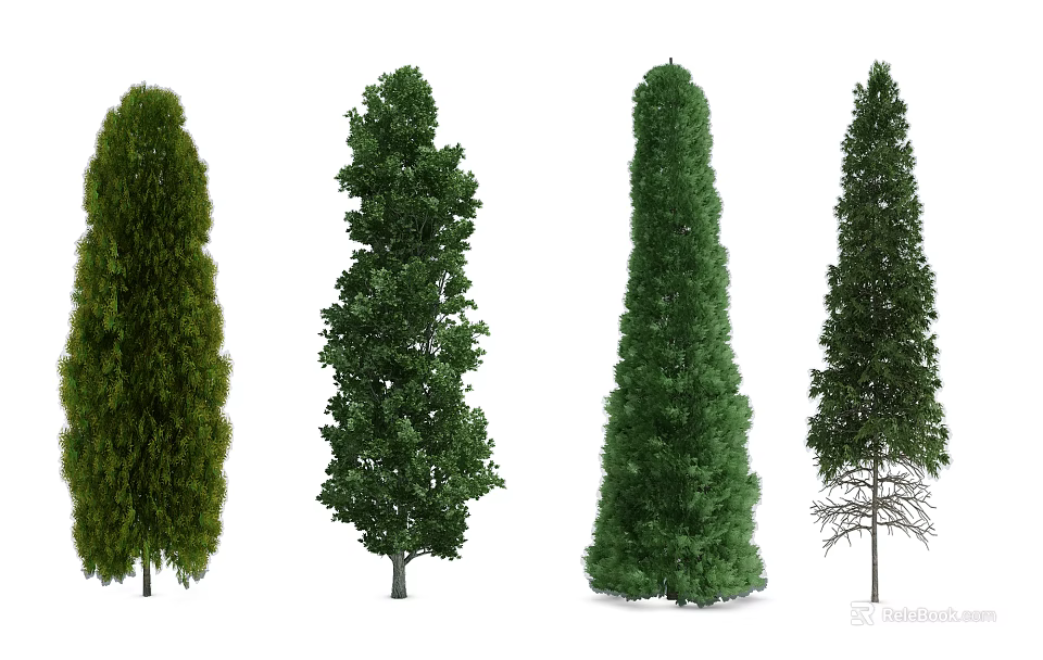 Various Arbor Trees With Different Green Foliage Shapes For Garden Landscape 3d model 
