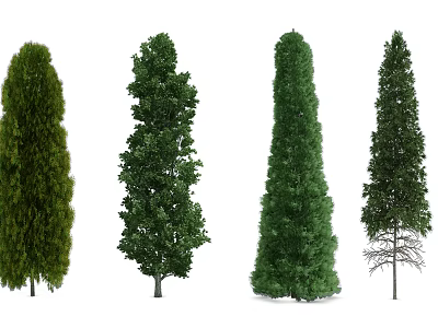 Various Arbor Trees With Different Green Foliage Shapes For Garden Landscape 3d model