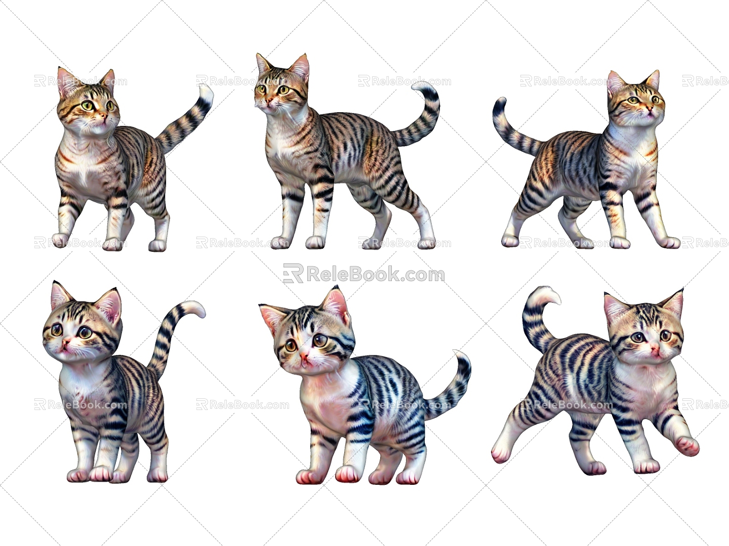 Cat Pet Animal 3d model