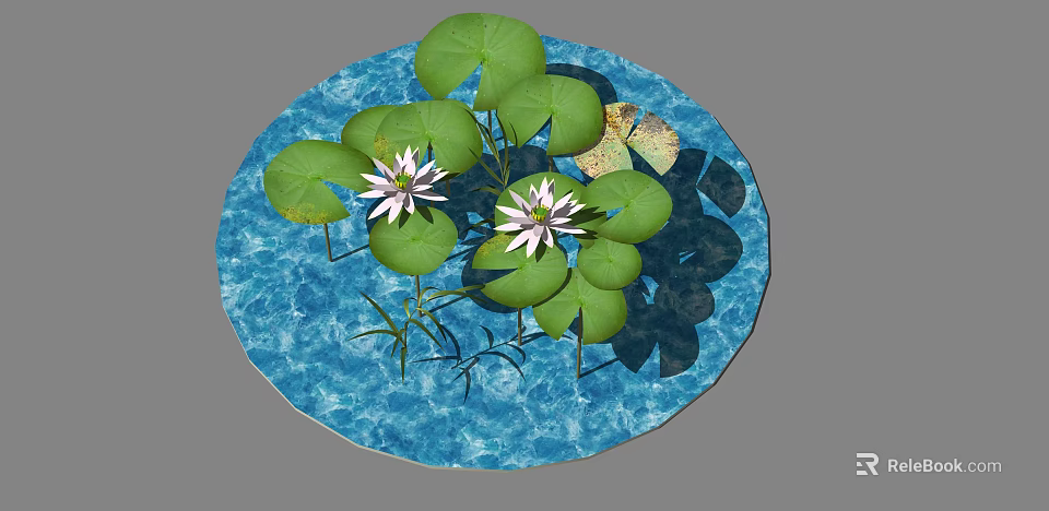 Beautiful Aquatic Plants With Green Lily Pads And White Lotus Flowers On Blue Water 3d model 