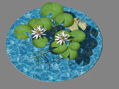 Beautiful Aquatic Plants With Green Lily Pads And White Lotus Flowers On Blue Water 3d model