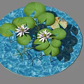 Beautiful Aquatic Plants With Green Lily Pads And White Lotus Flowers On Blue Water