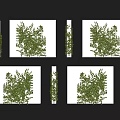 Green Vines Decorative Plant Wall Covering With Lush Foliage And Natural Texture