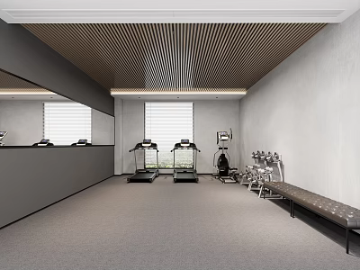 Modern Gym Interior With Treadmills And Fitness Equipment 3d model