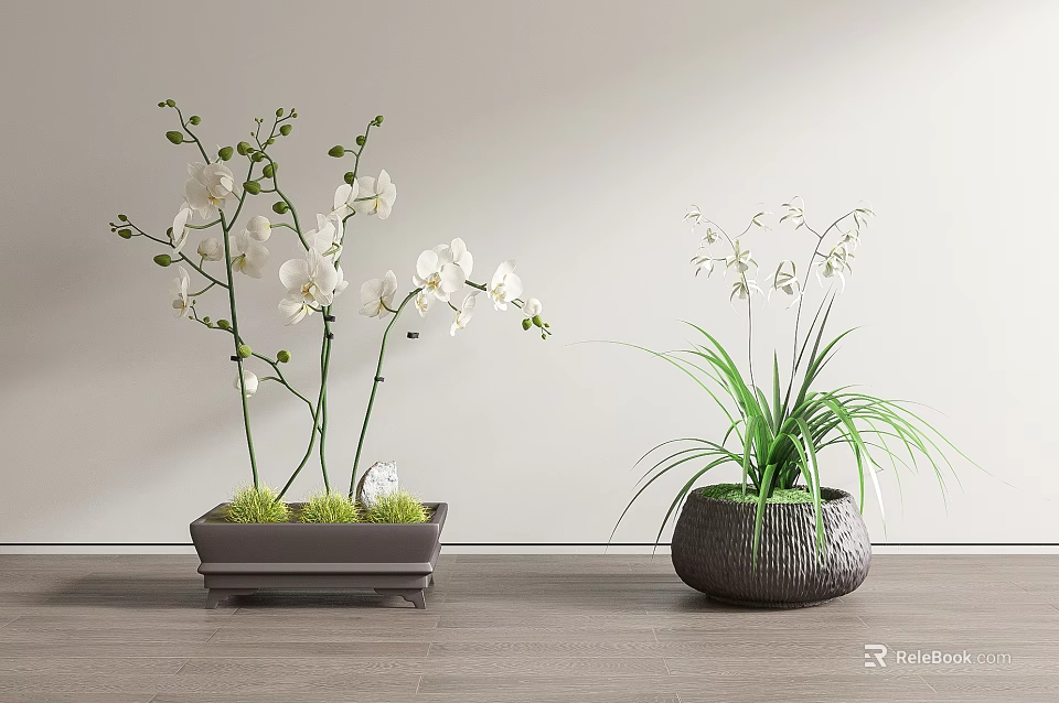 Bonsai Potted Plants Featuring White Orchid Slender Leaves In Square Gray And Round Woven Pots 3d model 
