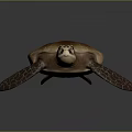 Brown Sea Turtle With Detailed Textured Shell And Lifelike Natural Appearance