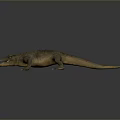 Realistic Reptile Crocodile 3D Model With Open Mouth Scales On Gray Background