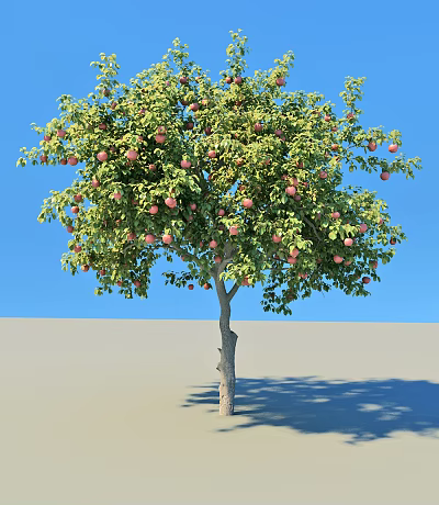 Lush Fruit Arbor With Abundant Red Fruits And Green Leaves Against Blue Sky 3d model