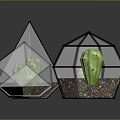 Scenic Green Plant Landscapes Inside Transparent Geometric Glass Structures On Reflective Surface