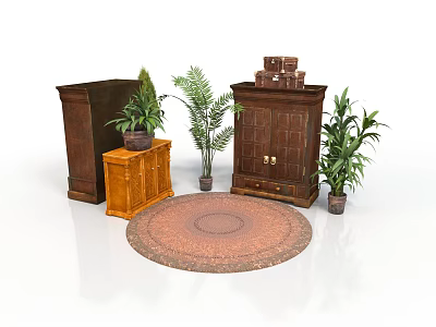 Classic Wooden Cabinets With Potted Plants And Round Rug In Home Interior 3d model
