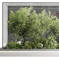 Lush Indoor Green Garden With Trees Plants And White Stone Decor